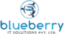Blueberry IT Solutions Logo